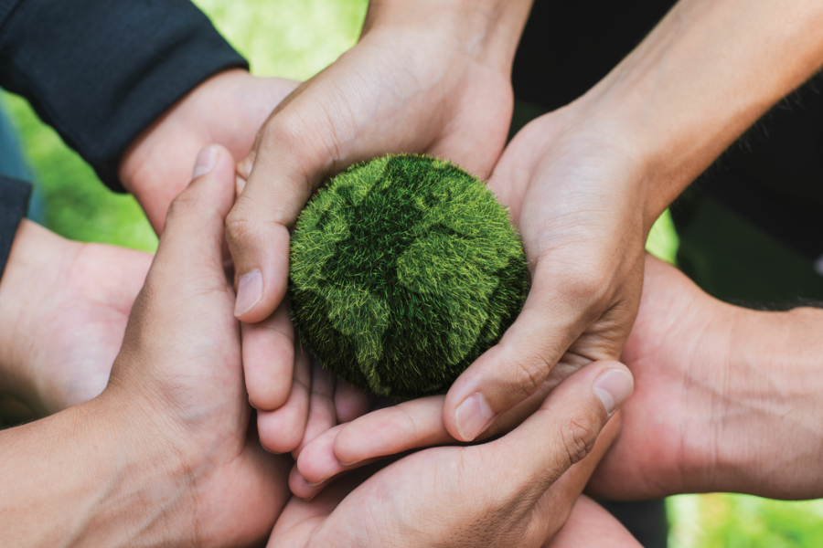 How We Built a Team That Shares Our Vision for a Sustainable Future